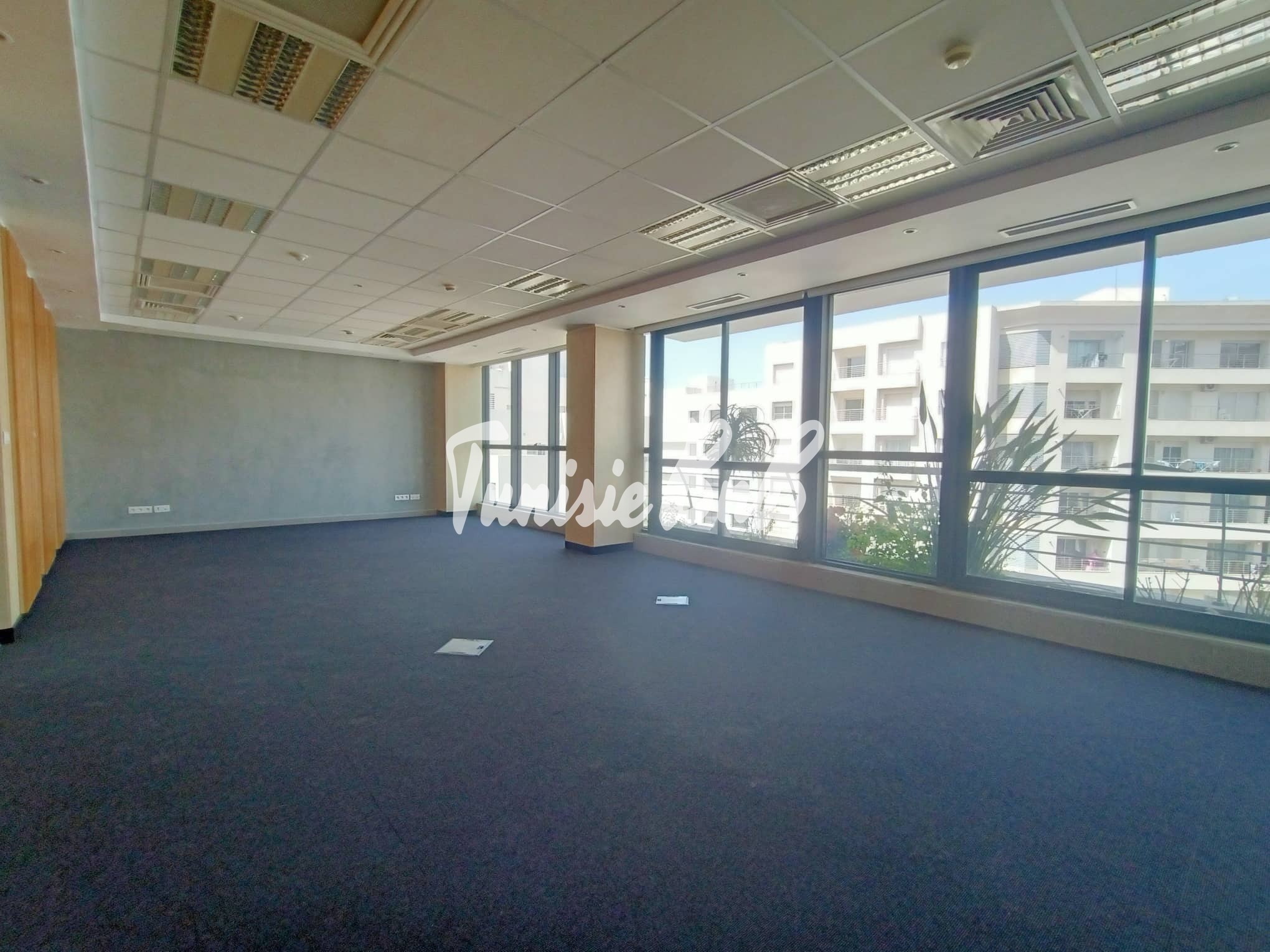 7167cbc6dce185bf1fe441be5d2307ec05103a63